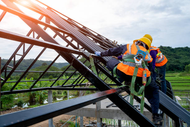 Best Metal Roofing Contractor  in Neillsville, WI